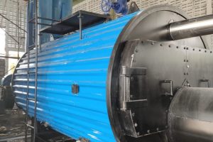Boiler DKH 2 ton 9